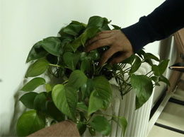 有效反竊聽的方法